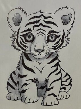 Baby Tiger